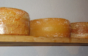 Clonmore Goat's Cheese