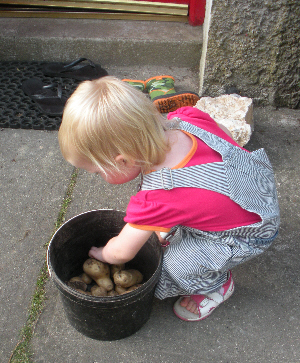 Little Missy with her newly picked potatoes