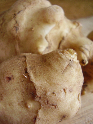 Jerusalem Artichoke