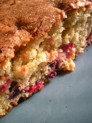 Redcurrant Almond Cake