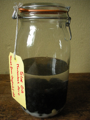 Sloe Gin