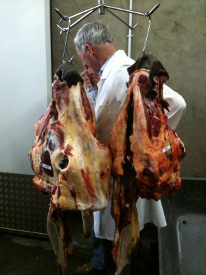 Slow Food, Lismore - Butcher Michael McGrath with a few heads