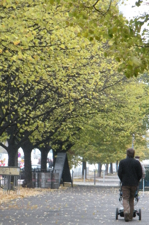 Autumn in Berlin