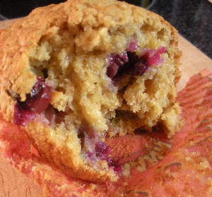 Blueberry Oatmeal Muffin