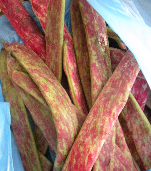 Borlotti beans
