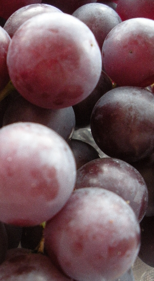 Irish grapes