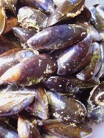 Kilmackillogue mussels