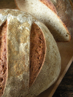 sourdough loaves
