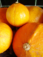A few of our Ushiki Kuri squash
