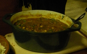 Moroccan Lamb and Apricot Tagine