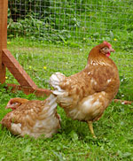 Two of the girls