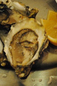 Bibliocook.com - Irish oysters